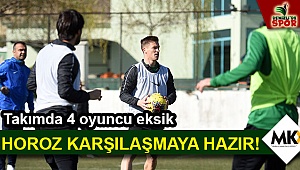 Horoz karşılaşmaya hazır!