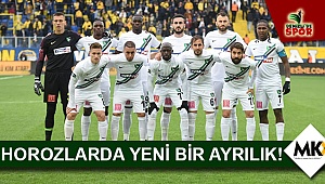 Horozlarda yeni bir ayrılık!