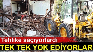 Tek tek yok ediyorlar
