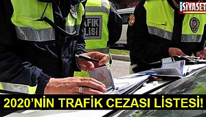 Yeni Yılın Trafik Cezası Listesi!
