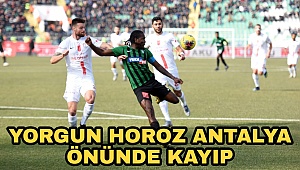 Yorgun Horoz Antalya önünde kayıp