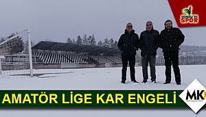 Amatör lige kar engeli