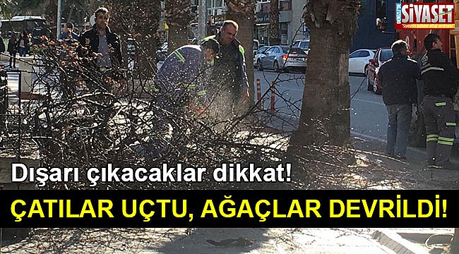 Çatılar uçtu, ağaçlar devrildi!