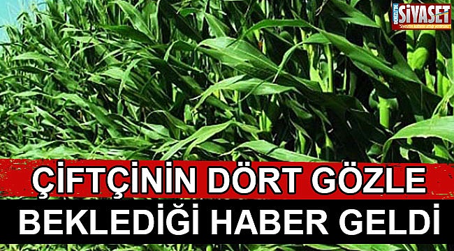 Çiftçinin Dört Gözle Beklediği Haber Geldi