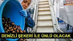 Denizli şekeri ile ünlü olacak
