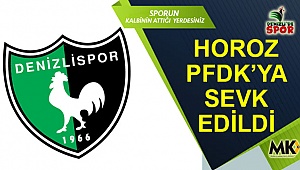 Horoz PFDK’ya sevk edildi