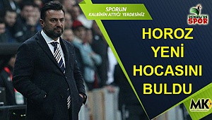 Horoz yeni hocasını buldu