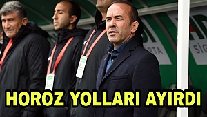 Horoz yolları ayırdı 