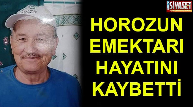 Horozun emektarı hayatını kaybetti