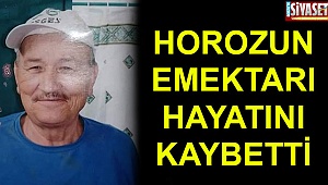 Horozun emektarı hayatını kaybetti