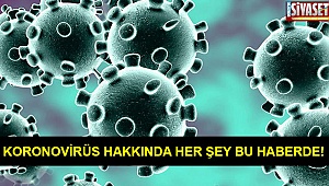 Koronovirüs hakkında her şey bu haberde!
