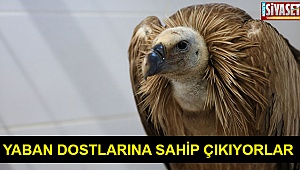 Yaban dostlarına sahip çıkıyorlar