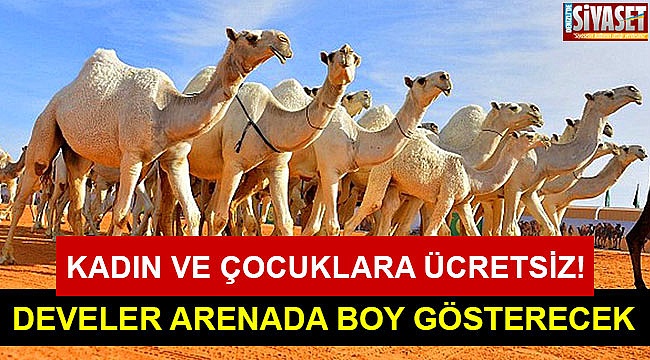 Develer arenada boy gösterecek