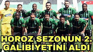 Horoz sezonun 2. galibiyetini aldı