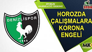 Horozda çalışmalara korona engeli
