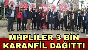 MHP'liler 3 bin karanfil dağıttı