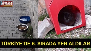 Türkiye’de 6. sırada yer aldılar