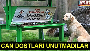 Büyükşehir can dostları da unutmadı