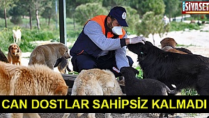Can dostlar sahipsiz kalmadı