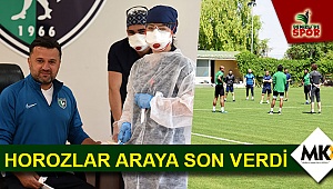 Horozlar araya son verdi
