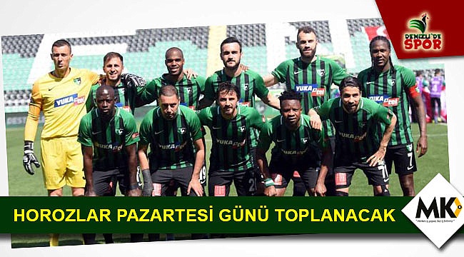 Horozlar pazartesi günü toplanacak
