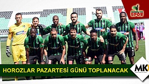 Horozlar pazartesi günü toplanacak