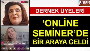 Online seminerde bir araya geldiler