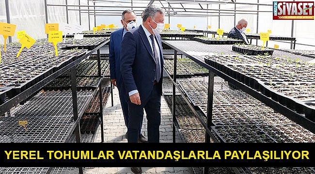 Yerel tohumlar vatandaşlarla paylaşılıyor