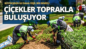 Çiçekler toprakla buluşuyor