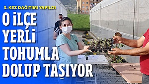 Honaz yerli tohumla dolup taşıyor