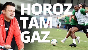 Horoz tam gaz