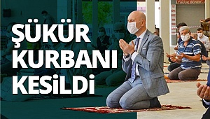 Sarayköy’de şükür kurbanı kesildi