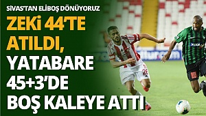 Horozlar üzgün dönüyor