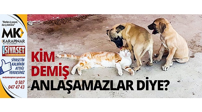 Kim demiş anlaşamazlar diye?