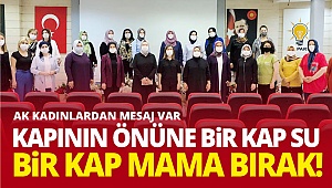 Sahipsiz, sessiz can dostlarımız sokak hayvanların yanındayız