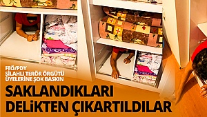 Saklandıkları delikten çıkartıldılar