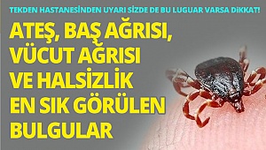 Tekden Hastanesi’nden önemli açıklama! “Keneye Dikkat”