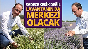 Başkan Örki Gözler’de