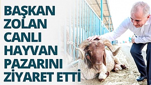 Başkan Zolan canlı hayvan pazarını ziyaret etti