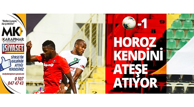 Horoz kendini ateşe atıyor