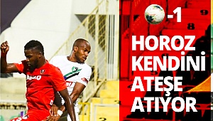 Horoz kendini ateşe atıyor