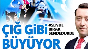 Kampanya çağrısı çığ gibi büyüyor