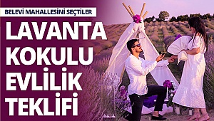 Lavanta kokulu evlilik teklifi