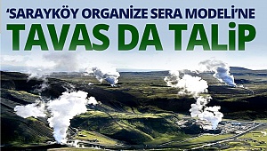 Sarayköy’deki organize sera bölgesi yatırımına Tavas da talip