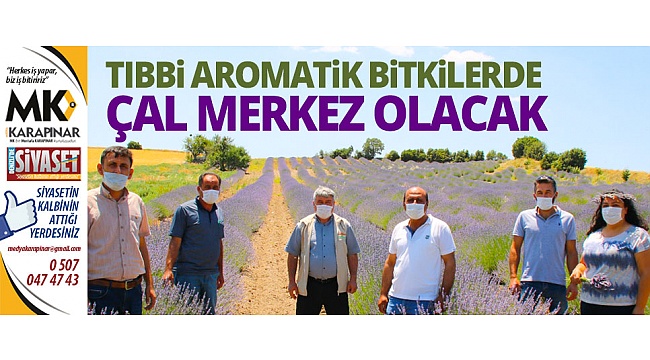 Tıbbi aromatik bitkilerde Çal merkez olacak
