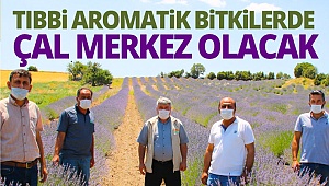 Tıbbi aromatik bitkilerde Çal merkez olacak