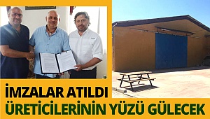 Yenicekentli üzüm üreticilerinin yüzü gülecek
