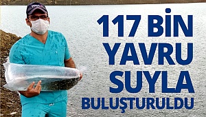 117 bin yavru sazan balığı suyla buluşturuldu 