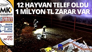 12 hayvan telef oldu, 1 milyonluk zarar var