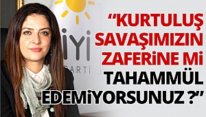 Akışık: Kurtuluş Savaşımızın zaferine mi tahammül edemiyorsunuz?